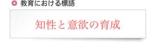 知性と意欲の育成